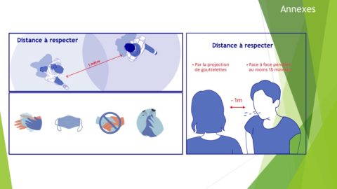 Diapositive6